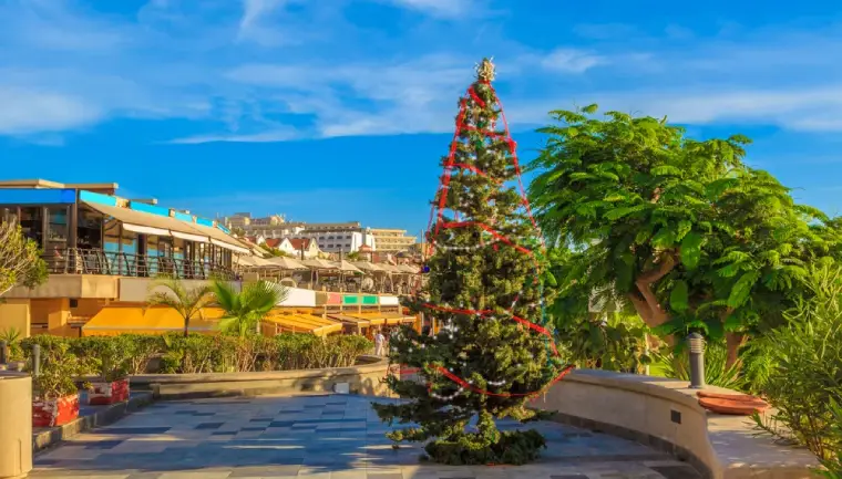 Vánoce: Tenerife a Vánoce - 3 důvody, proč vyrazit! 2 Tenerife a Vánoce, oblečený vánoční stromek v teplých zemích