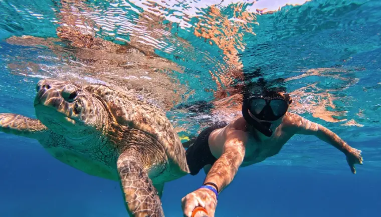 Počasí Marsa Alam. želví potápění