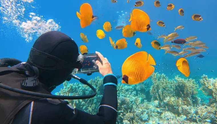 Korálový útes, potápění v Rudém moři