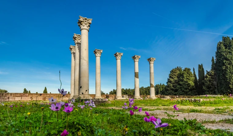 Antické sloupy na modré obloze, rozkvetlé divoké květiny v popředí, archeologické naleziště na ostrově Kos, symbol historického významu Hippokratova ostrova