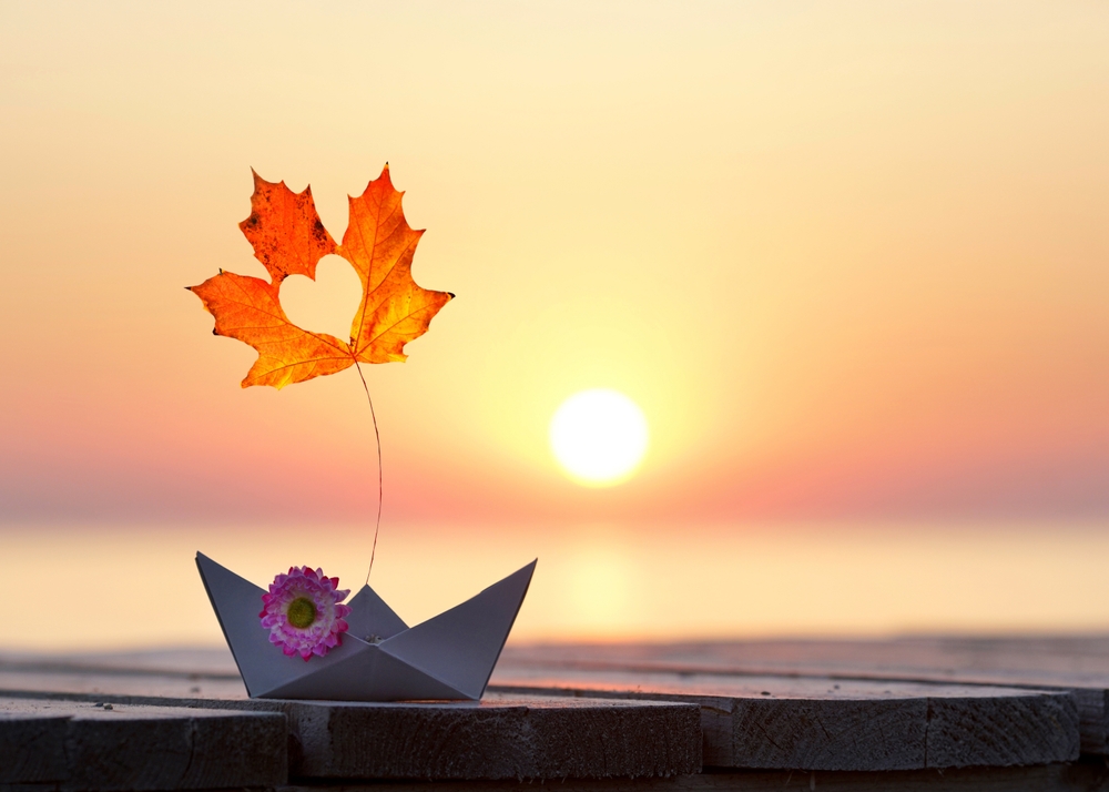 Pozimní list na pláži