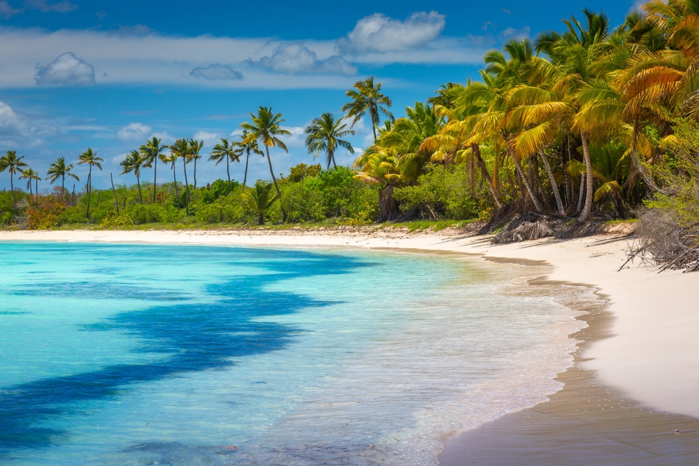 Pláž Punta Cana, Dominikánská republika