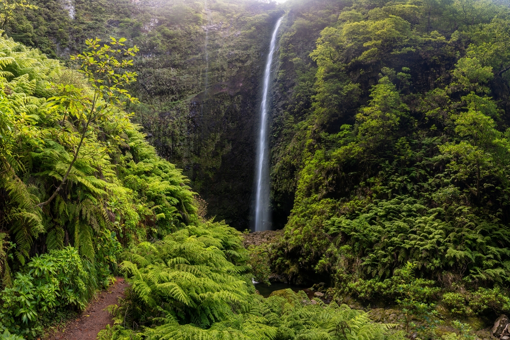 Madeira levády: průvodce po nejkrásnějších trasách 4 Na obrázku je vodopád v Levada do Caldeirão Verde.