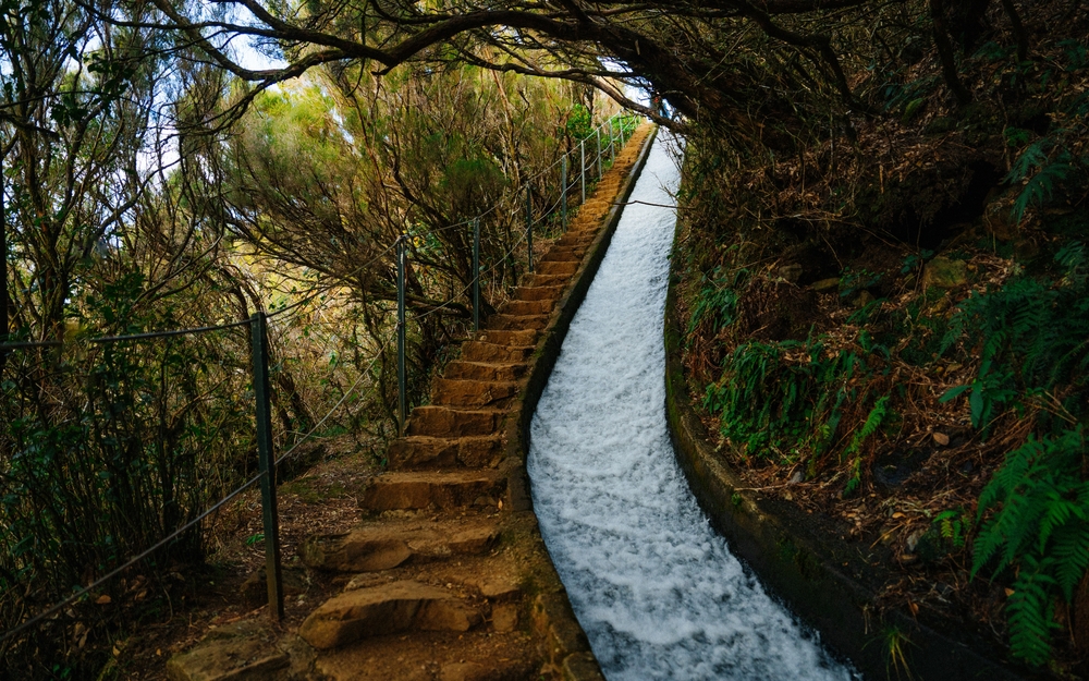 Madeira levády: průvodce po nejkrásnějších trasách 6 Cesta vedoucí po schodech kolem prudké levady.
