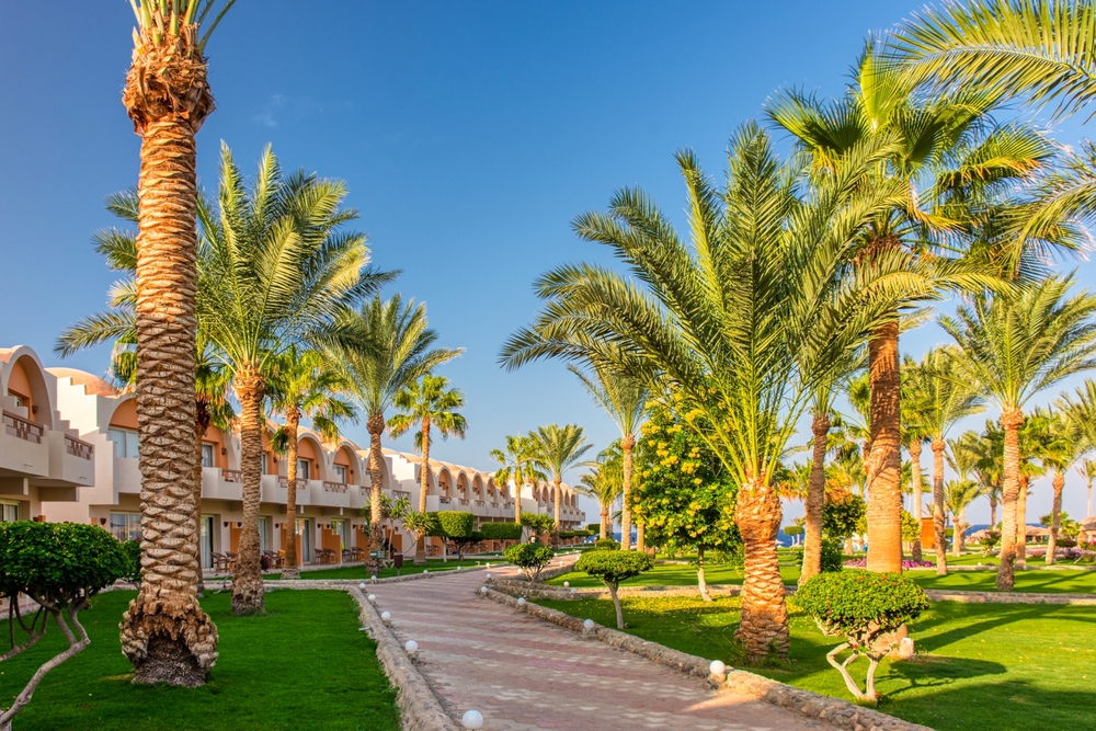 Letíte poprvé do Marsa Alam na Last Minute? Co potřebujete vědět o hotelech, výletech a „faraonově pomstě“ 2 Hotel Marsa Alam last minute dovolená v Egyptě