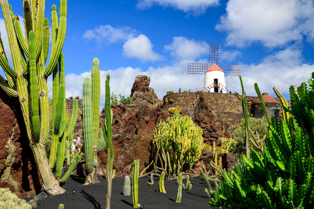 Kanárský ostrov Lanzarote