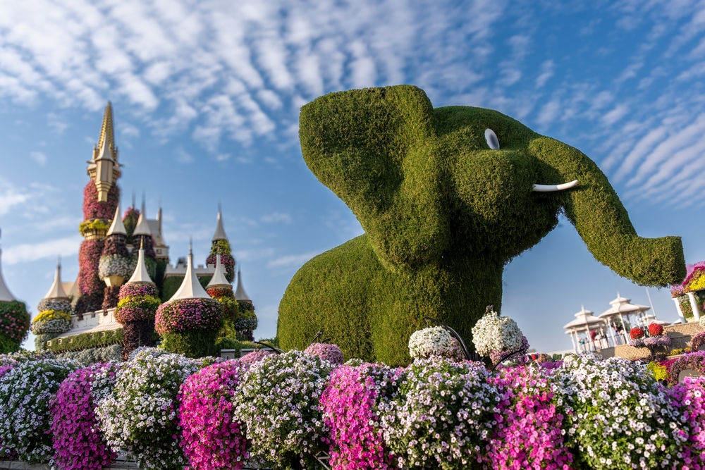 Dubai Miracle Garden