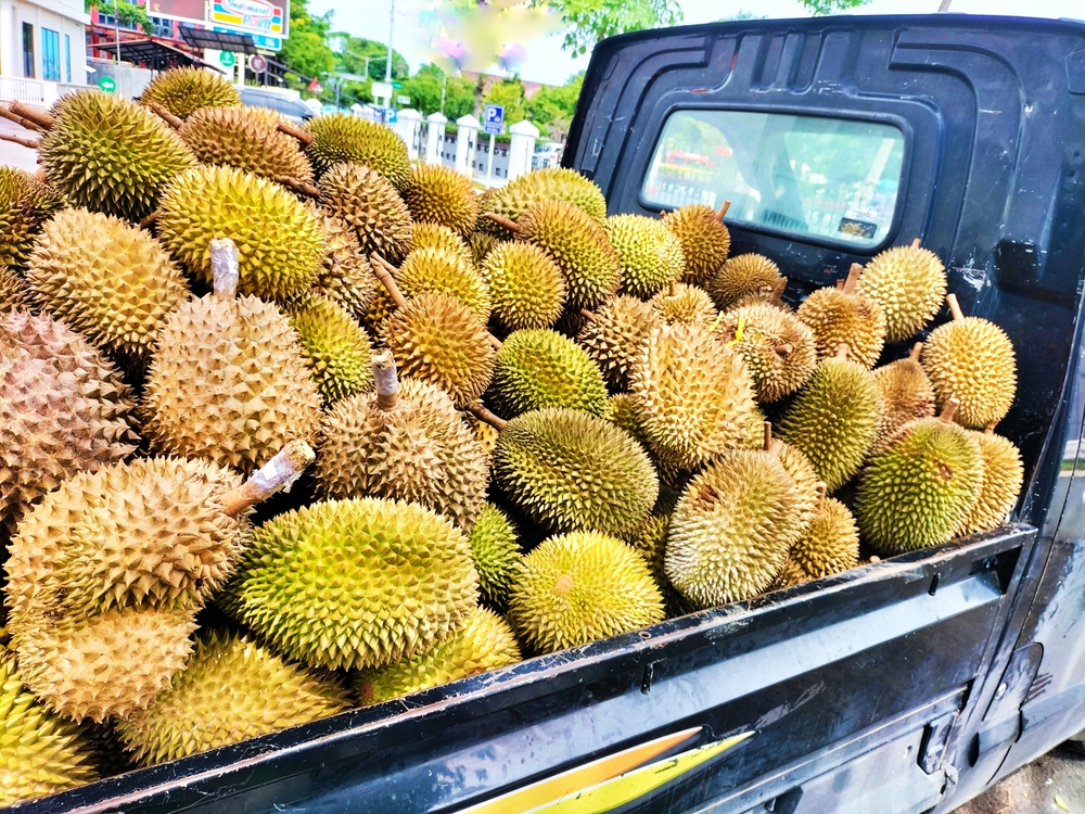 durian