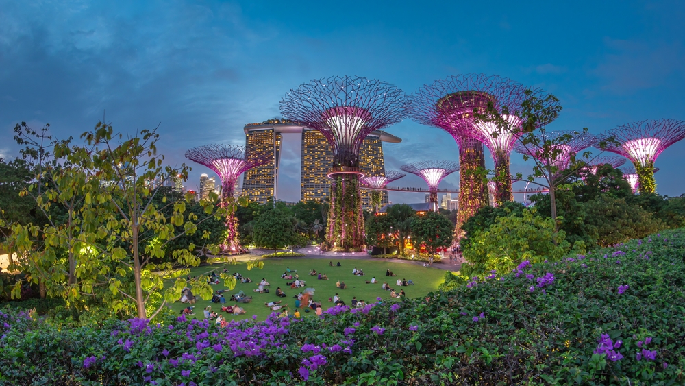 Futuristický pohled na osvětlení v zahradě Garden by the Bay v Singapuru po západu slunce
