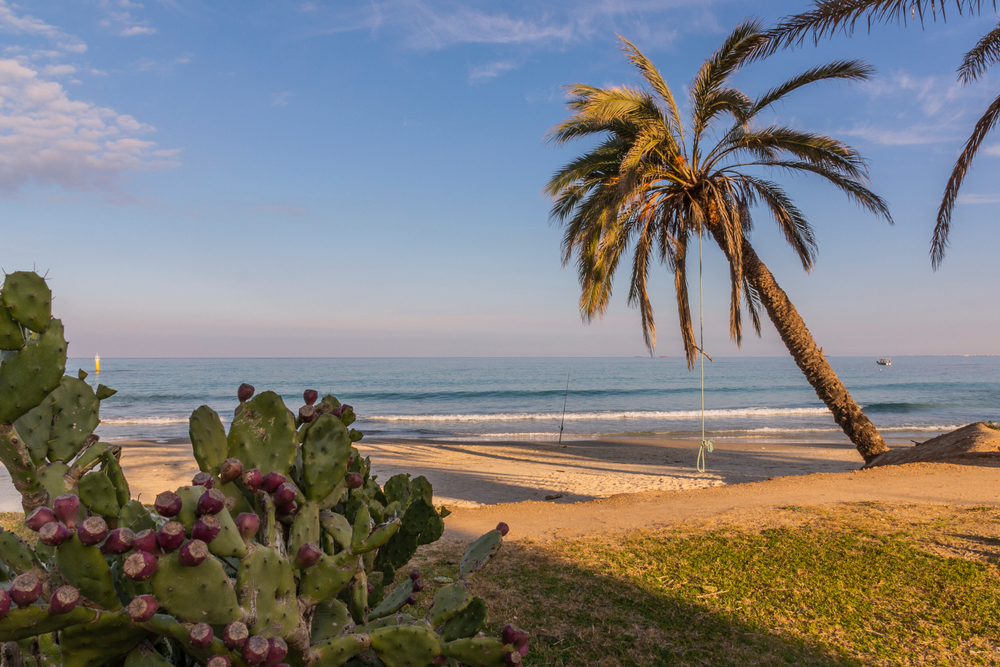 Sousse v Tunisku - nejlepší místa a atrakce, které musíte vidět 5 Tunisko pláž v Sousse