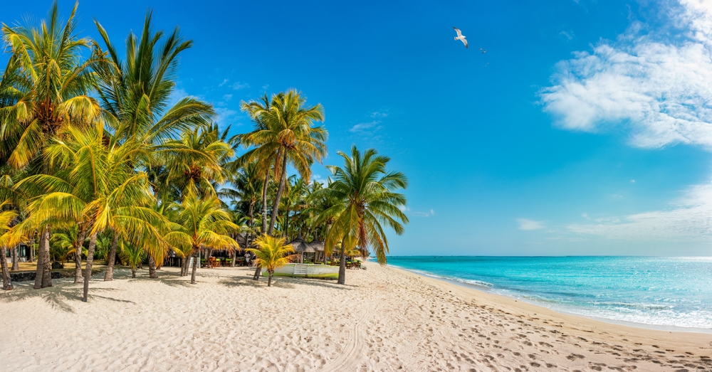 Zelené palmy a písčitá pláž na Mauriciu