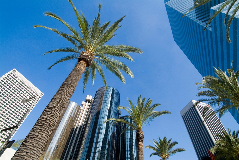 Cestování do USA: Co potřebujete pro vstup do Ameriky? 3 Los Angeles Kalifornie USA