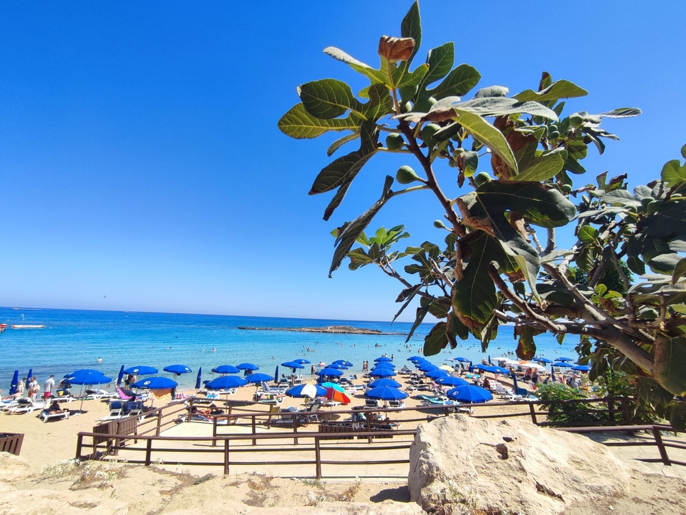TOP 10 nejkrásnějších pláží na Kypru 4 Fig Tree Bay krásná pláž na Kypru