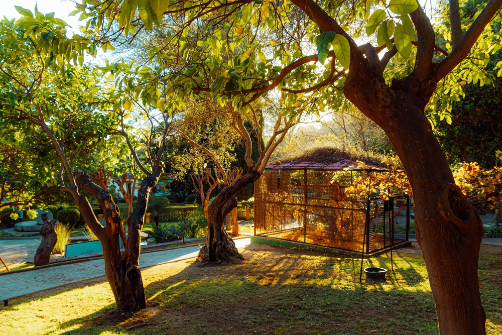 Jardín Botánico Molino de Inca Costa del Sol