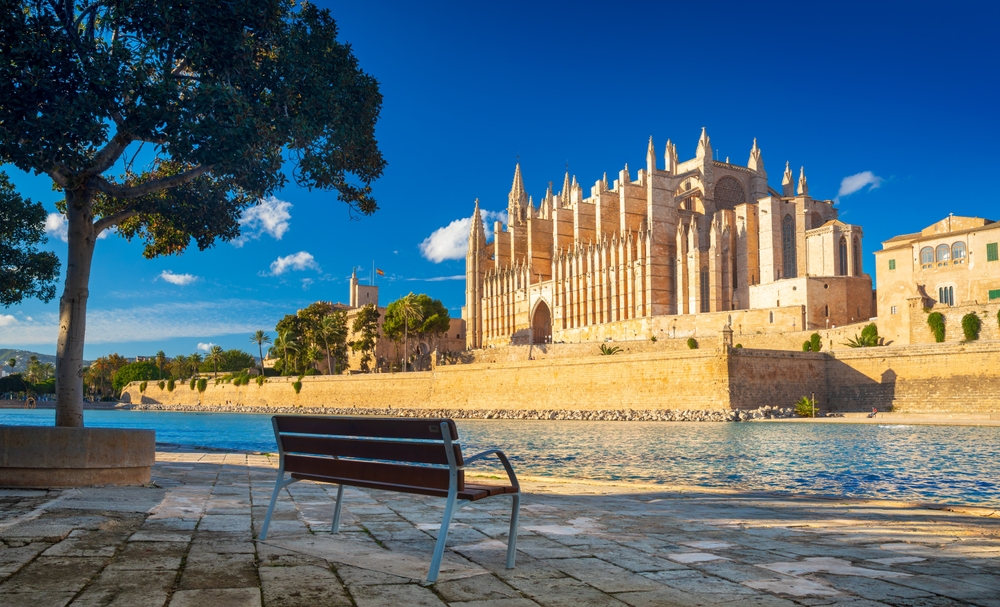 Katedrála Santa Maria na Mallorce s vodním kanálem a zeleným stromem