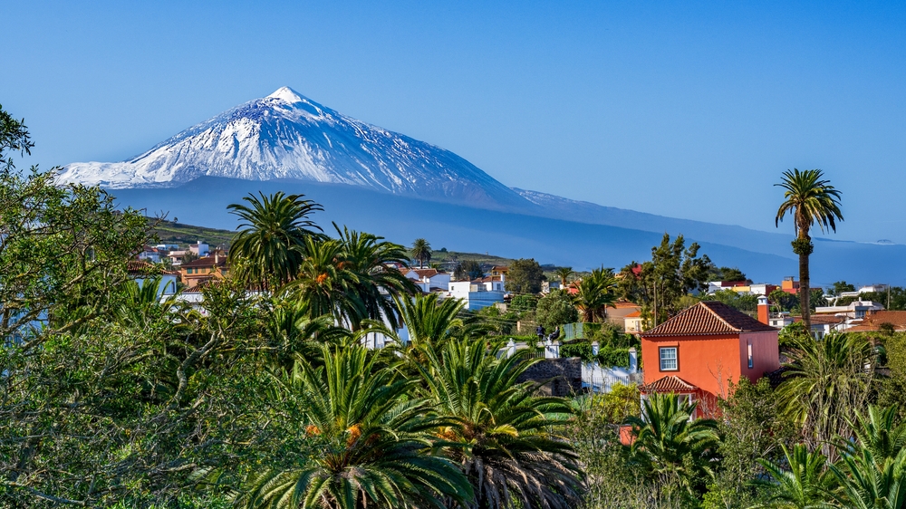Nejvyšší vrchol Španělska hora El Teide na Tenerife pokrytá sněhem s palmami v popředí