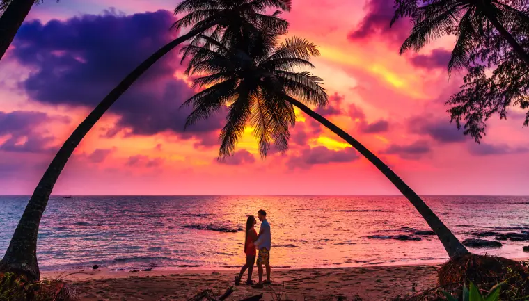 líbánky na exotické pláži