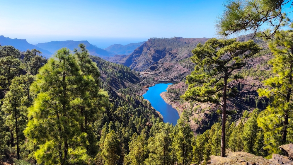 Gran Canaria – objevte nejfotogeničtější místa Kanárského ostrova 3 Ohromující výhled na horskou nádrž v Gran Canaria na Kanárských ostrovech se zeleným lesem