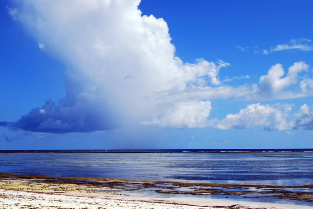 Krásný bílý písek pláže Bwejuu na východním pobřeží Zanzibaru