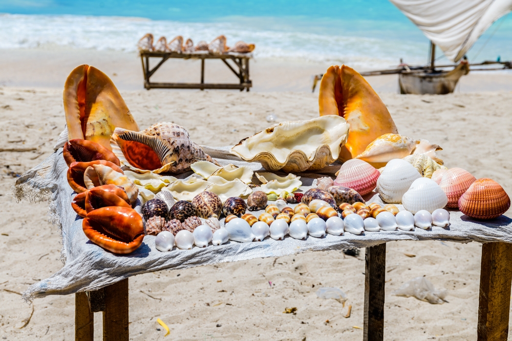 Co koupit na Zanzibaru? Koření, řemeslné výrobky a další suvenýry 6 Mušle na prodej na pláži v Zanzibaru, Tanzanie