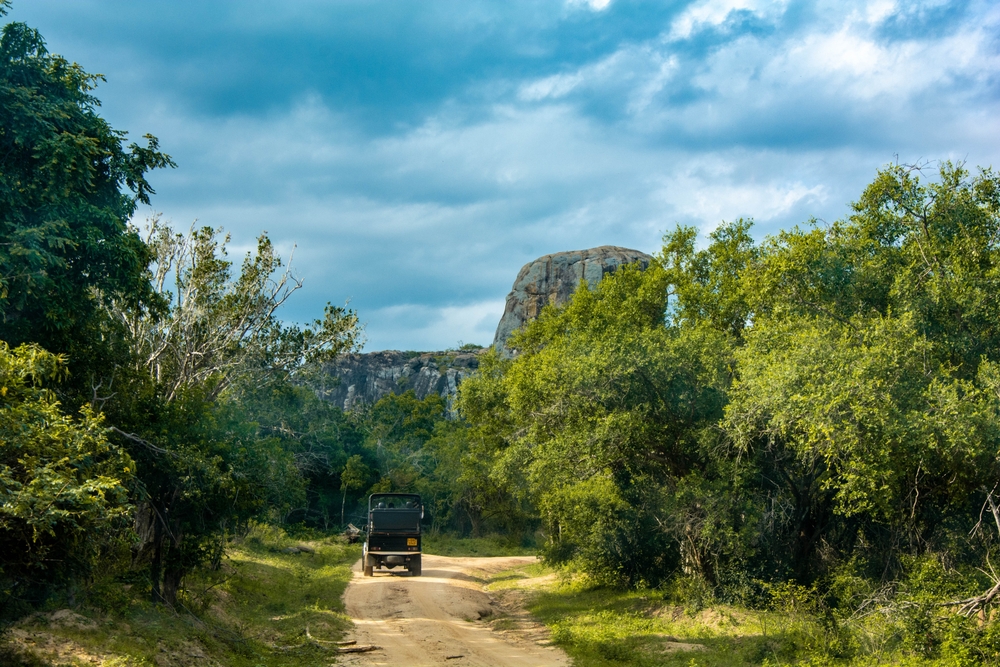 Národní park Yala – divoká příroda Srí Lanky! 4 Národní park Yala, safari na Srí Lance