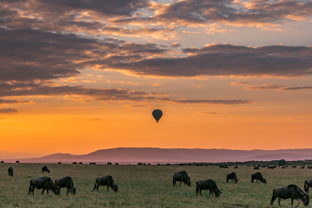 Keňa v létě – proč sem vyrazit na dovolenou? 4 Národní rezervace Masai Mara s horkovzdušným balónem a zvířaty