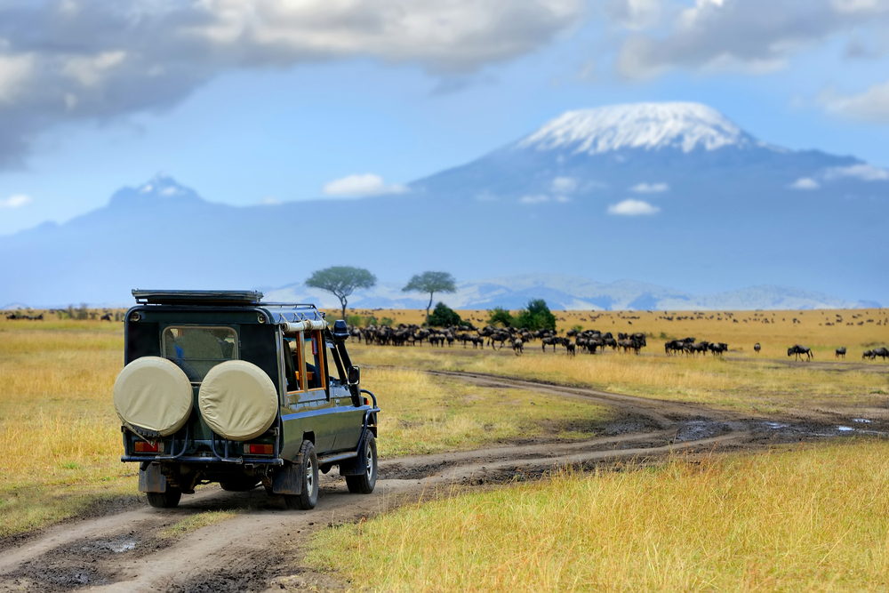 Keňa v létě – proč sem vyrazit na dovolenou? 6 Safari s pakoněmi v rezervaci Masai Mara v Keni v Africe