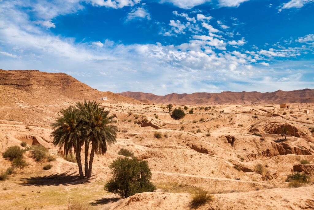 Sahara v Tunisku