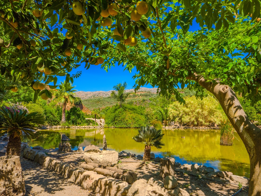 Umělé jezero v botanické zahradě na Krétě obklopené zelení