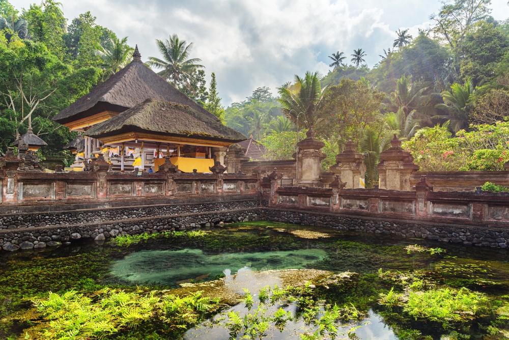 Co vidět na Bali? Od zelených rýžových teras po chrámy na útesech 5 Úžasný výhled na rybníček v chrámu Tirta Empul na Bali v Indonésii