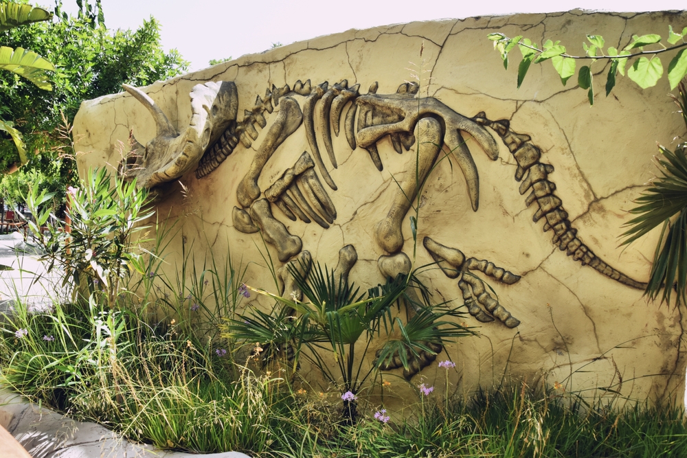 Výstava v dinoparku v parku dinosaurů na Krétě v Řecku