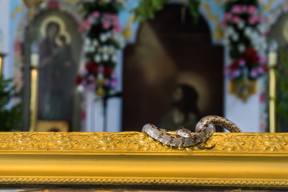 Města na Kefalonii, která stojí za návštěvu 6 kostel Panagia Lagouvarda festival s hady, Kefalonia
