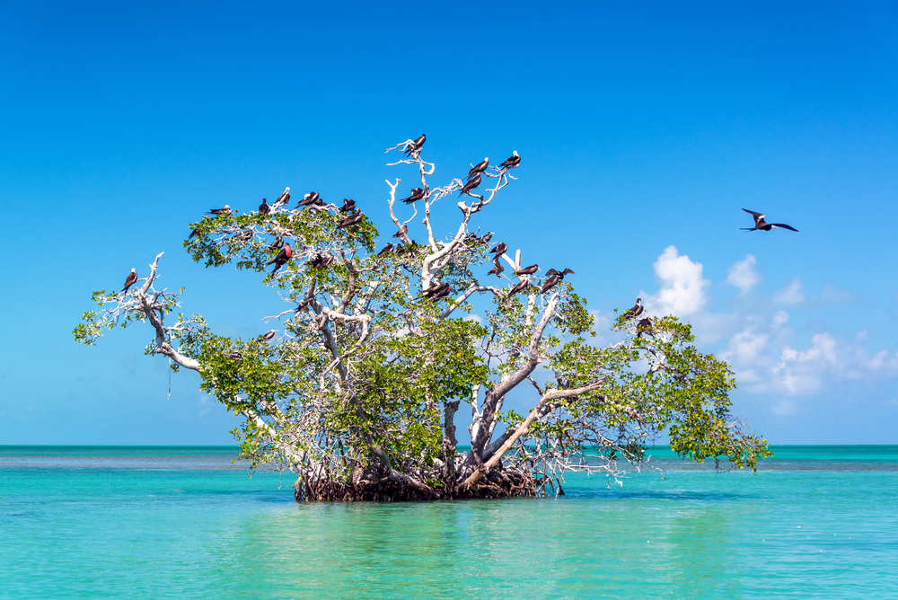 přírodní rezervace  Sian Kaan u města Tulum na Yucatánu v Mexiku