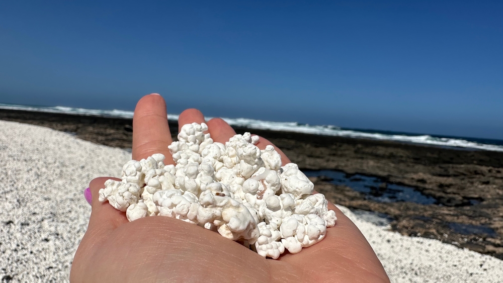 Detail oblázků na Popcorn Beach na Fuerteventuře