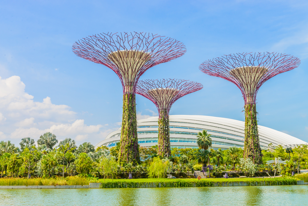 Zajímavosti a tipy, co vidět v Singapuru 5 Garden by the bay, Singapur