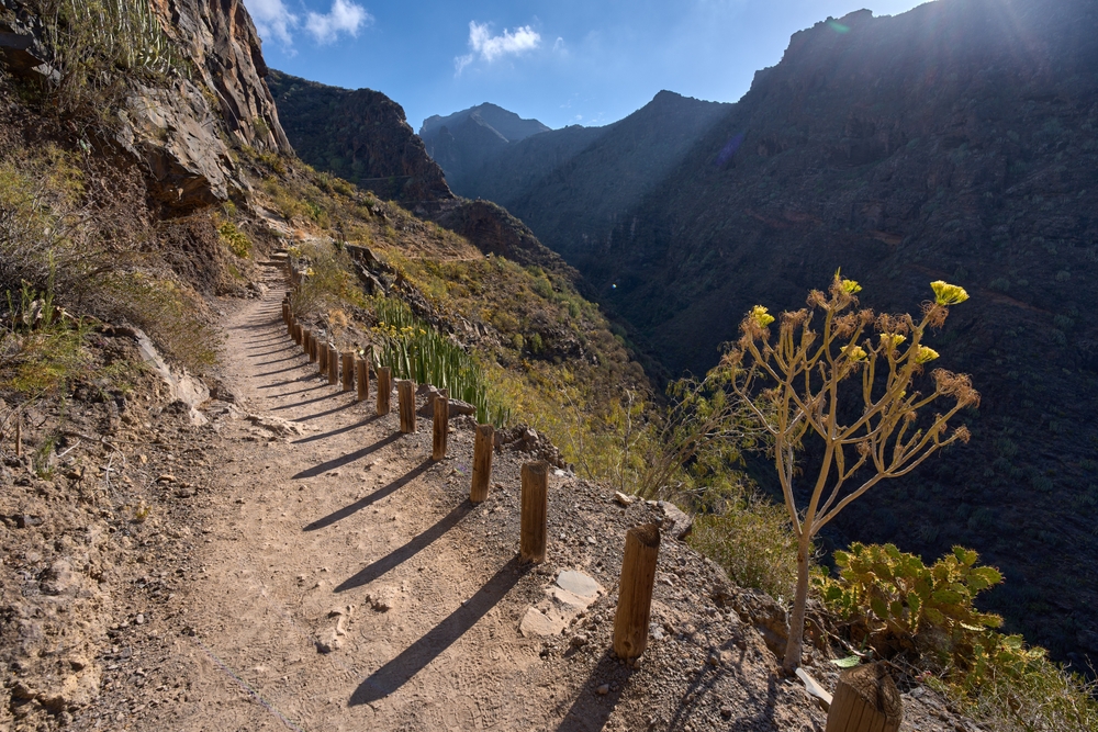 Costa Adeje – co nabízí a proč sem zamířit při vaší první cestě na Tenerife? 5 Co vidět na Costa Adeje - Barranco del Infierno