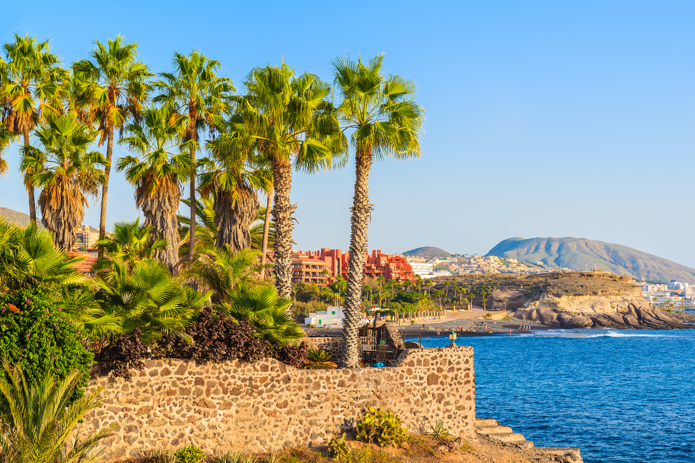 Costa Adeje – co nabízí a proč sem zamířit při vaší první cestě na Tenerife? 6 Palmy, moře a město v pozadí na Costa Adeje v Tenerife